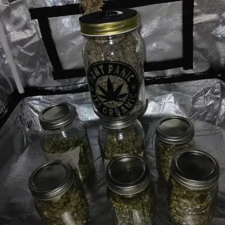 Kyle420greenery  & 42fastbuds