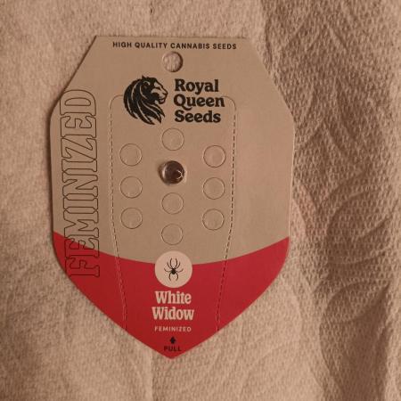 White Widow - First Auto  Grow