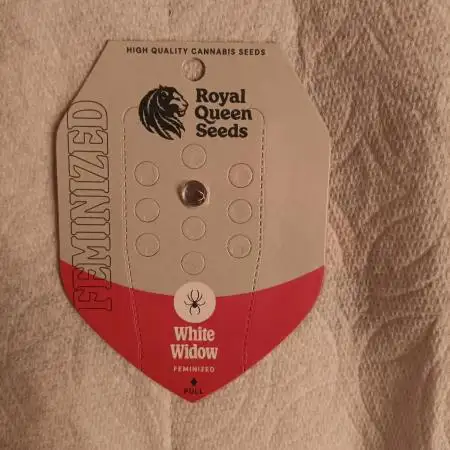 White Widow - First Auto  Grow