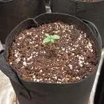 Fat Bastard Auto