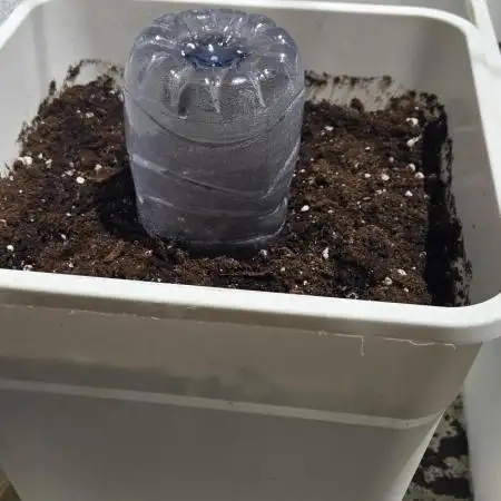 First grow