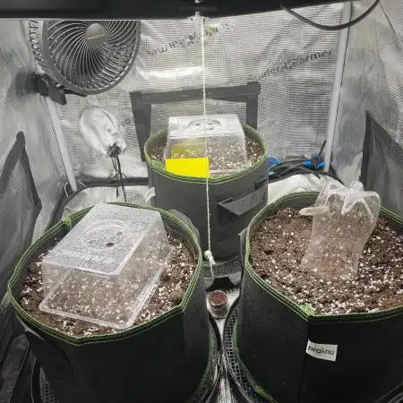 Fastbuds Indoor LED Grow