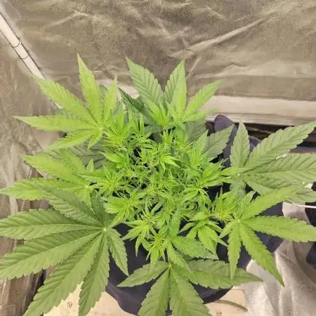 1st Hydro run