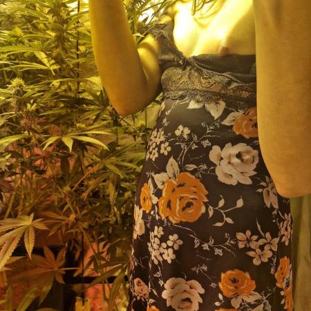 Growdiaries comeback