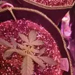 Auto big bang