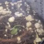 Tnt trichome