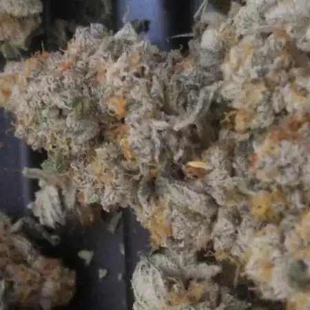 Auto northern lights