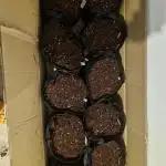 The wifes 10 X Autoflowers run