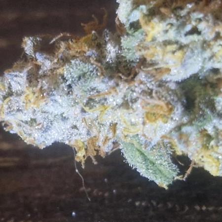 Pineapple express (#2)