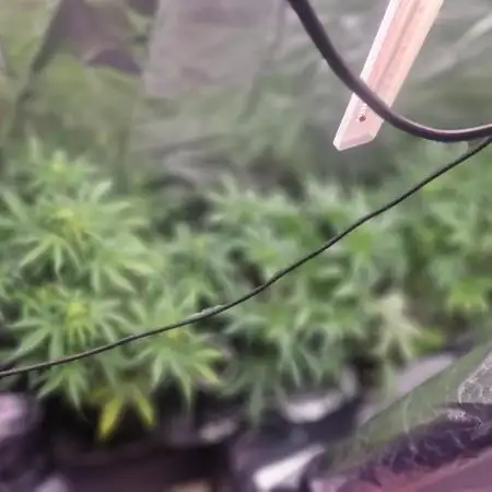 Auto big bang