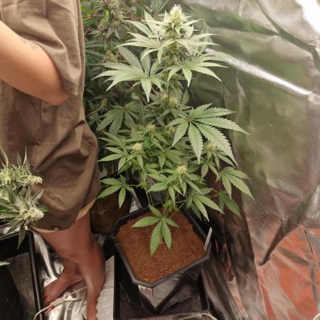 Permanent Marker!¡!