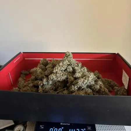 First grow