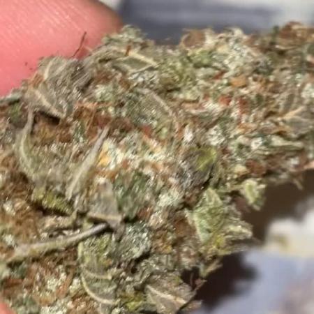 First grow