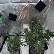 NorthernLights Auto