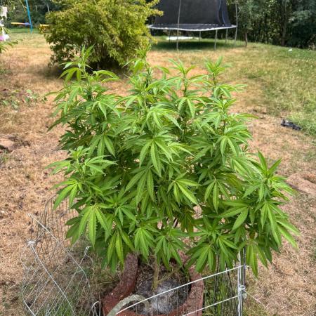 TAX Bracket #7 Outdoor