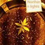 Northern lights 