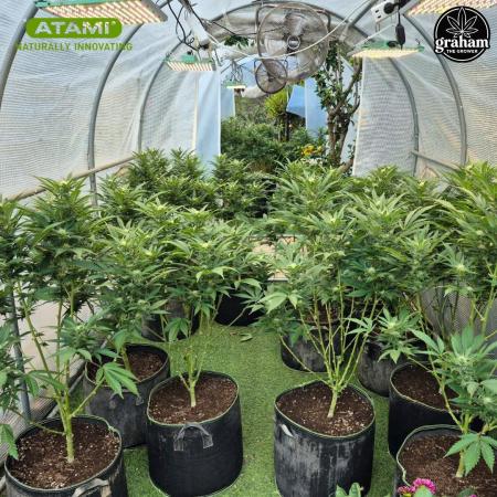 Grow with Atami Greenhouse 2