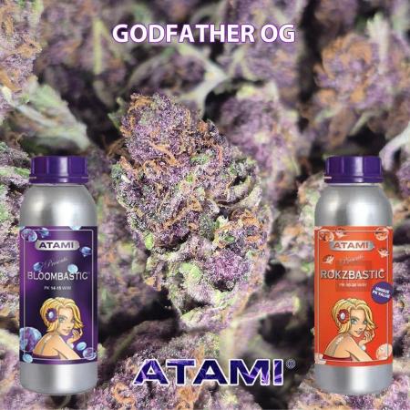 Godfather OG