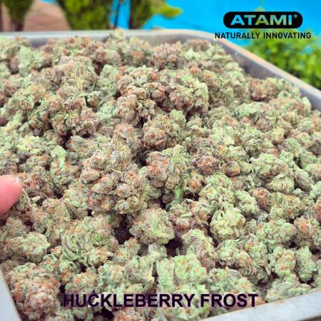 Growing with Atami August 2026