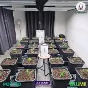 Grow with Atami Indoor 4