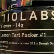 710 Labs Bag Seed: LTP