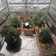 Dialed In: Environment First