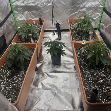 Dialed In: Environment First