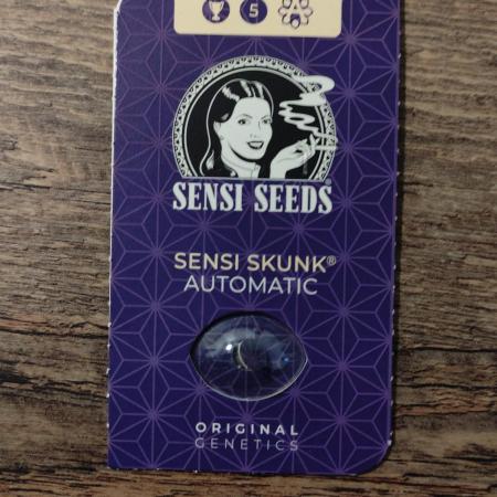 Sensi Skunk Auto. x6
