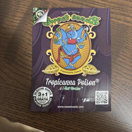 Hoping to achieve the red buds