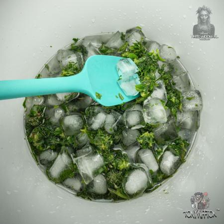 Outdoor : Original White Widow IBL