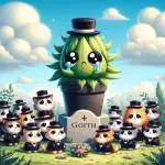 rainbow belts 2.0 grow Fall 2025