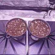 Bakerman (Jealousy x La Bomba) / Coco