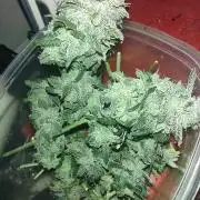 Growfarm1