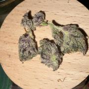 Purple Kush