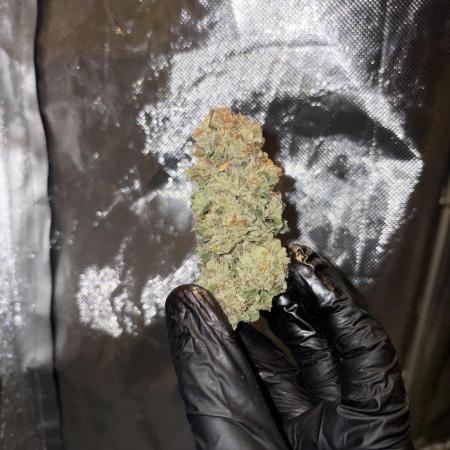 Super Lemon Haze