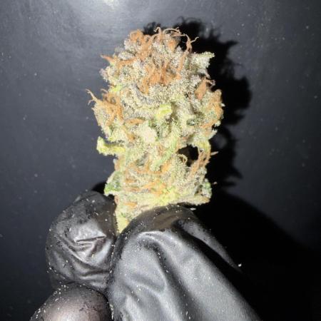 Frozen Black Cherry
