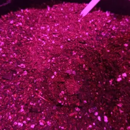 Gorilla Glue Auto