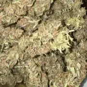 Purple Lemonade RF3