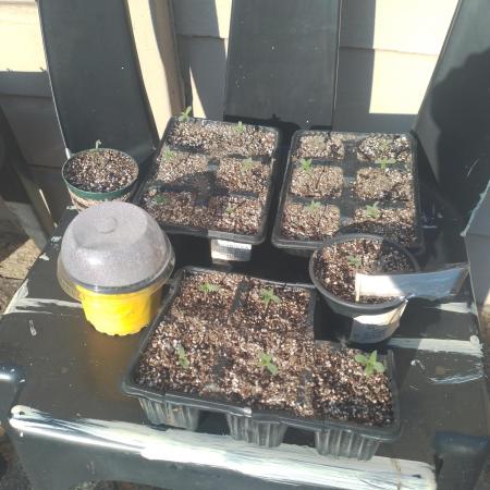 2025 Grow