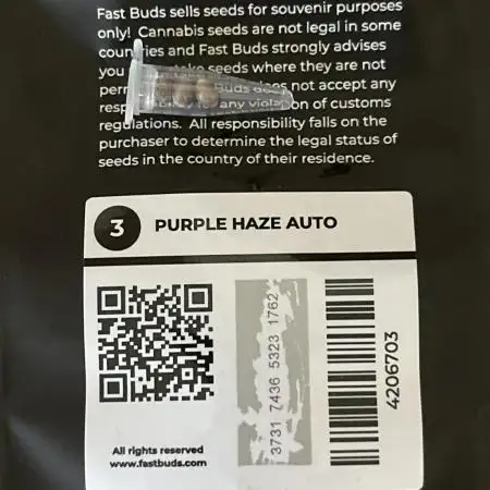 Purple haze dedicated to jimmi