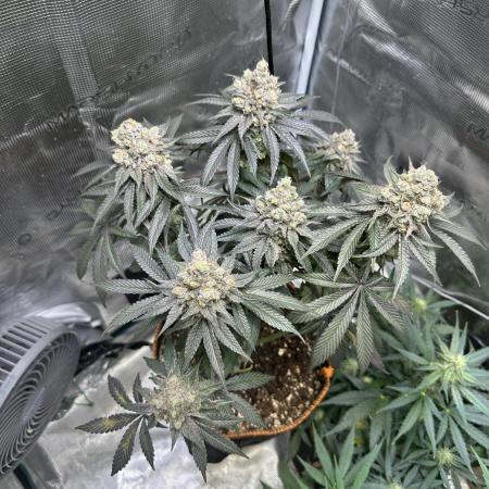 First Time Permanent Marker 🖊️🤩