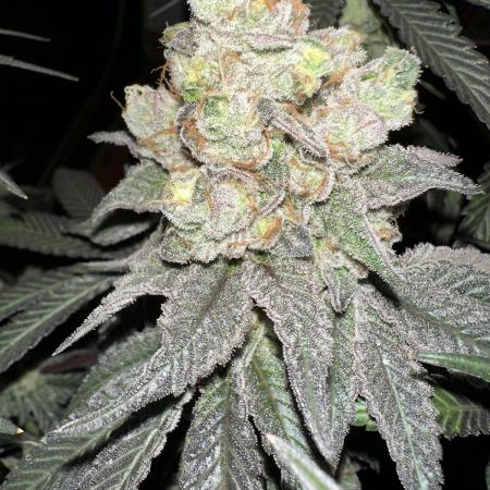 First Time Permanent Marker 🖊️🤩