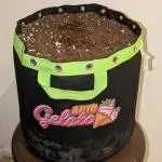 Gelato Auto by Fast Buds