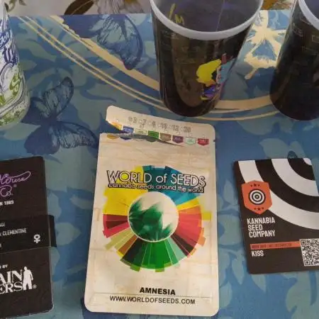 Grapefuel Gelato, KISS, Amnesia, Lemon O