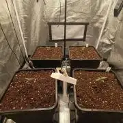 Herbst Grow 2026