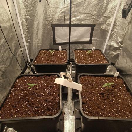 Herbst Grow 2026