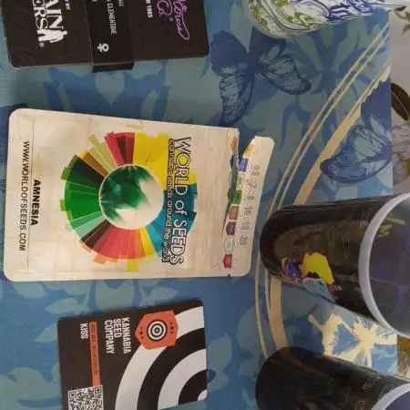 Grapefuel Gelato, KISS, Amnesia, Lemon O