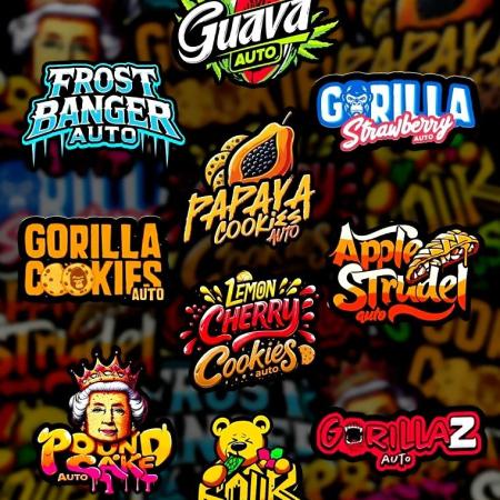 Fast Buds Auto Mix 2026