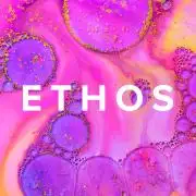 ETHOS Genetics Banana Daddy R1