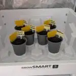 SmartGrow2025